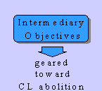 Intermediary objectives